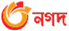 Pay34